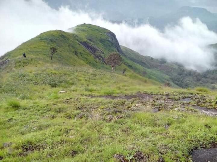 Jungle Retreat Natural Stay Kombaikadu Tamilnadu - Kodaikanal Esterno foto